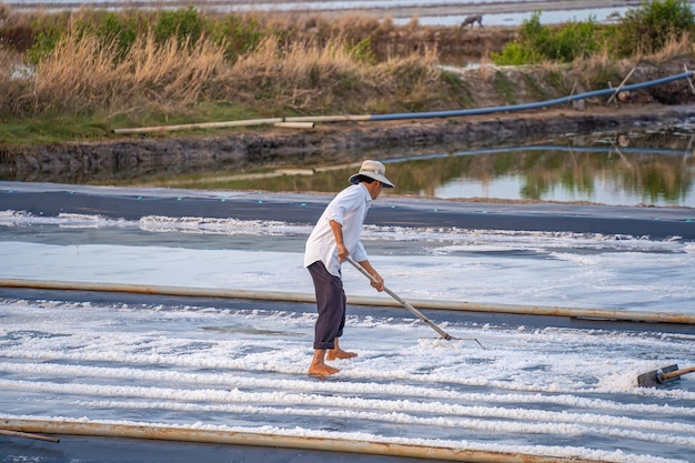 Vung Tau VIETNAM 25 DE FEBRERO DE 2023 El proceso de sal marina hecho a partir de montones de sal en la salina por un trabajador de sal en la zona rural de Long Dien Los campos de sal es uno de los destinos más exclusivos de Vietnam