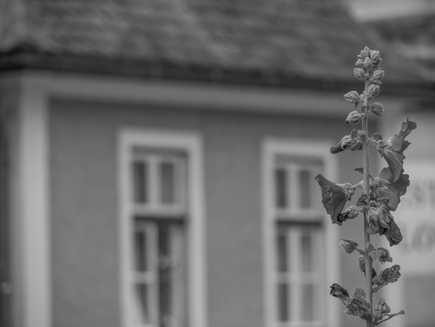 Foto wachau en austria