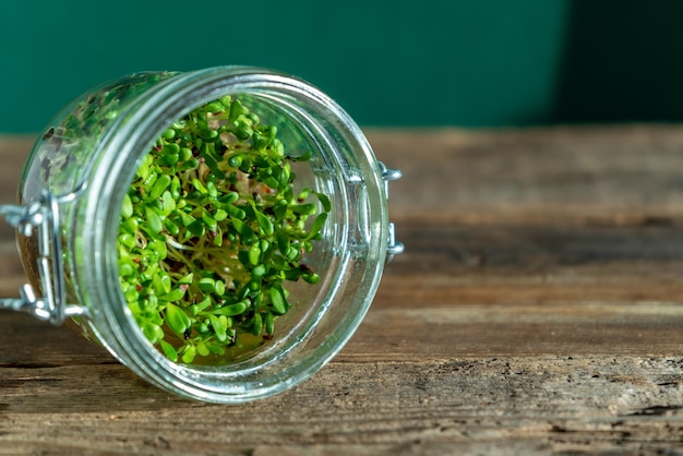 Wachsendes Mikrogrün im Glas Alfalfa-Rettich und Kohl Keimende Samen für vegane Öko-Lebensmittel Hausgarten auf der Fensterbank mit Holzhintergrund Biofreundliches Konzept Urban Farm Copy Space