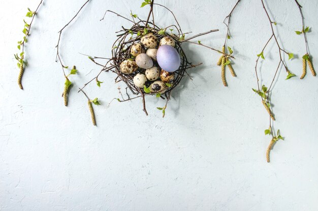 Wachtel-Ostereier im Nest