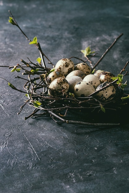 Wachtel-Ostereier im Nest