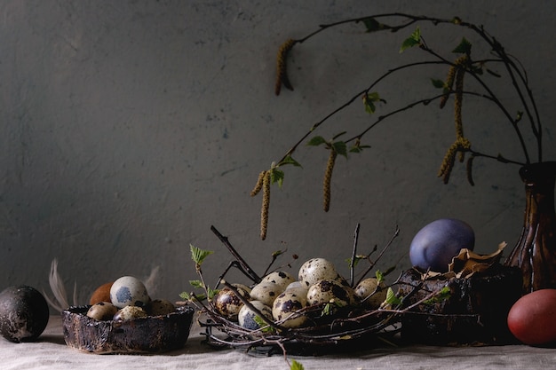 Wachtel-Ostereier im Nest