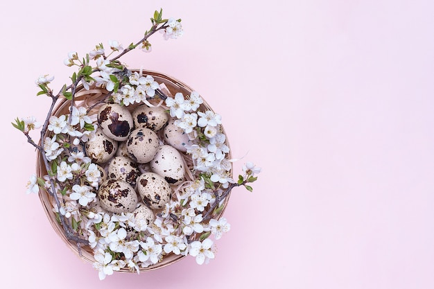 Wachtel-Ostereier in einem Korb mit Blumen auf einem rosa Hintergrund.