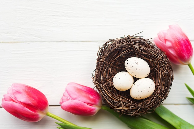 Wachteleier im Nest und Tulpen von oben Osternkonzept