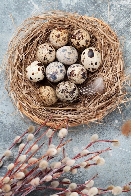 Wachteleier im Nest und Weidenkätzchen Ostergrußkarte