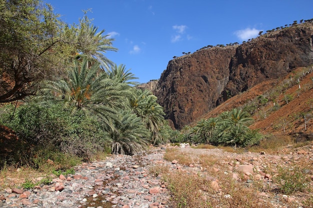 Wadi Dirhur Canyon Ilha de Socotra Oceano Índico Iêmen