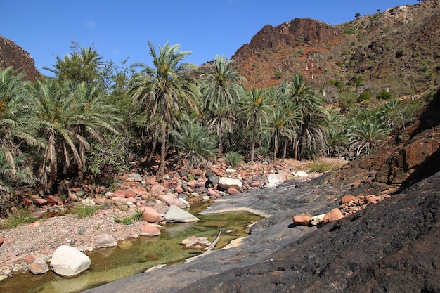 Wadi Dirhur Canyon Ilha de Socotra Oceano Índico Iêmen