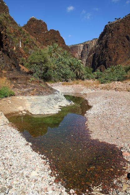 Wadi Dirhur Canyon, isla de Socotra, Océano Índico, Yemen