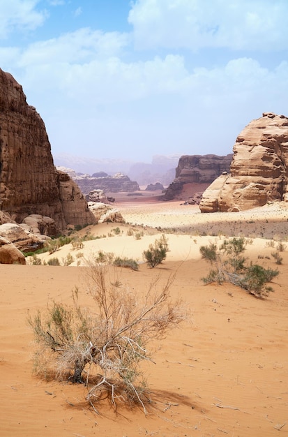 Wadi Rum deserto