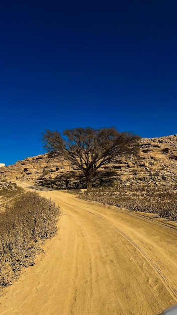 Foto wadi salbukh dam in riad, saudi-arabien