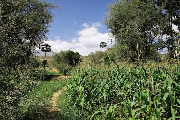 Wadi Sara in den Bergen Jemen