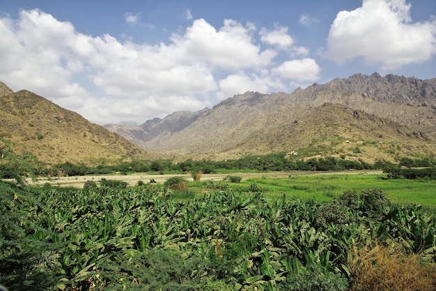 Wadi Sara en las montañas Yemen