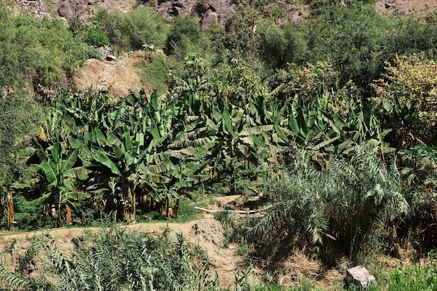 Wadi Sara en las montañas Yemen