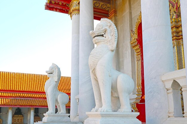 Wächterlöwe der Ordinationshalle des Marmortempels Wat Benchamabophit in Bangkok Thailand