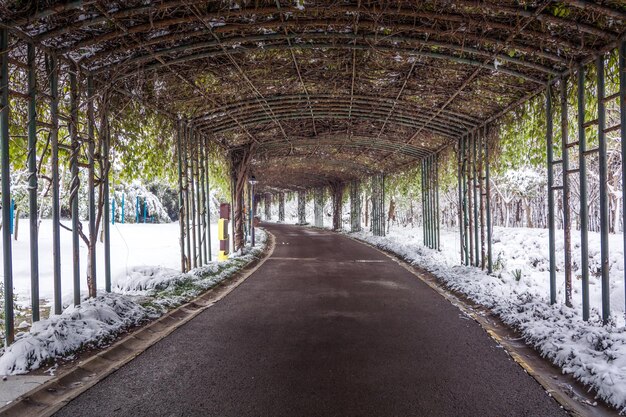 Während eines Schneesturms am frühen Morgen