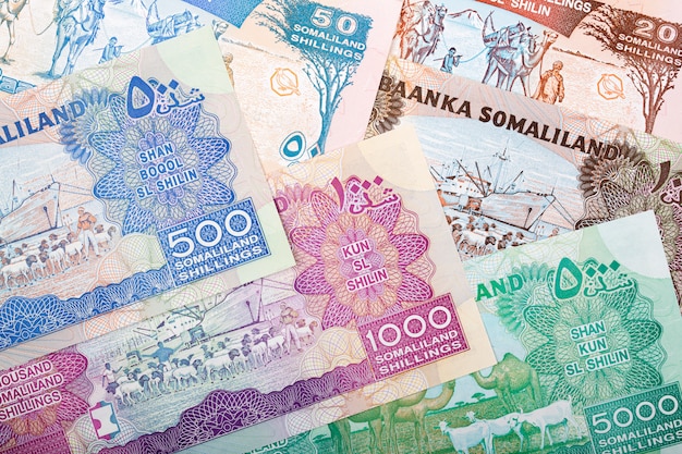 Währung von Somalia