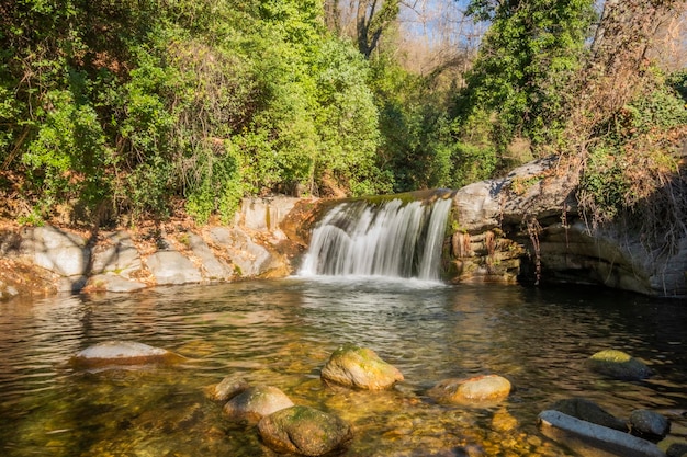 Wässern Sie das Fließen über Felsen in Wasserfallkaskade in einem Wald