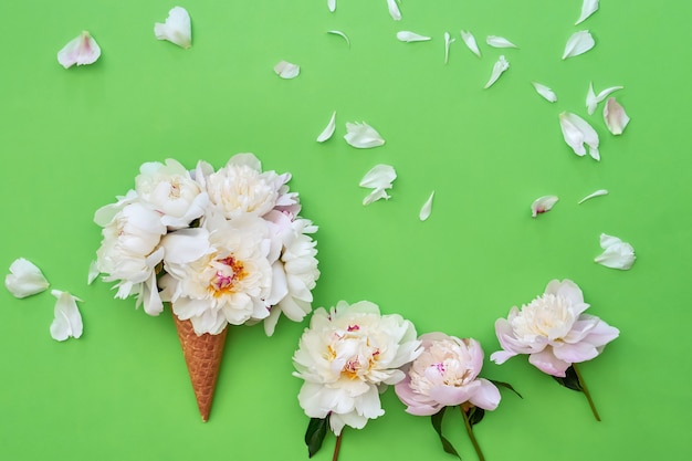 Waffeleistüte mit weißen Pfingstrosenblumen auf grünem Hintergrund. Sommerkonzept. Speicherplatz kopieren, Draufsicht. Minimalismus