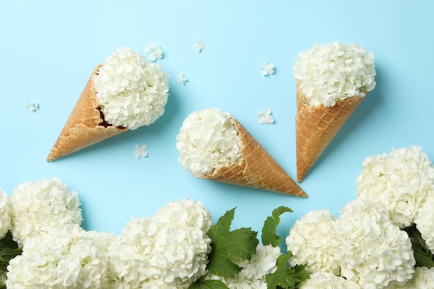 Waffelkegel mit Hortensie auf blauem Raum. Frühlingspflanze