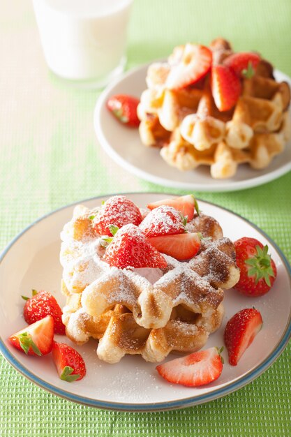 Waffles belgas com açúcar de confeiteiro e morango