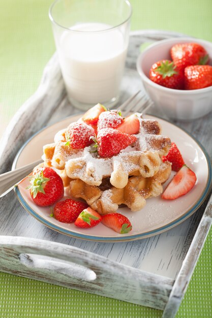 Waffles belgas com açúcar de confeiteiro e morango