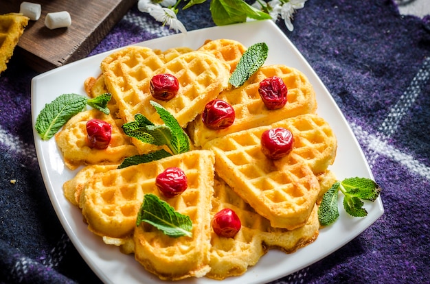 Waffles e chocolate quente com marshmallows em uma manta