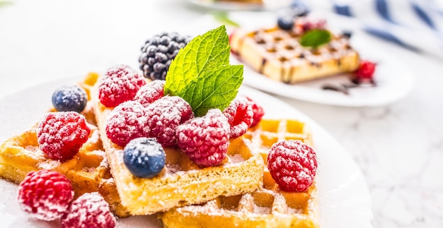 Waffles frescos com folhas de hortelã em pó de açúcar de bagas.