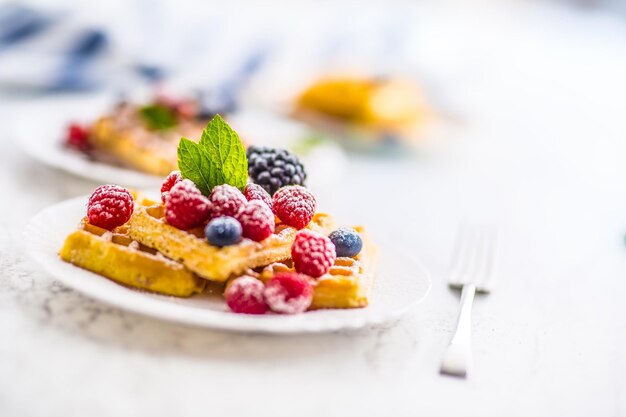 Waffles frescos com folhas de hortelã em pó de açúcar de bagas.