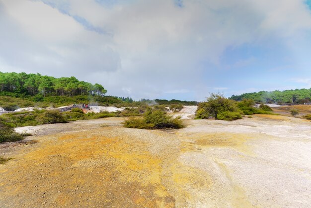 Foto wai-o-tapu, un área geotérmica activa, rotorua, isla norte de nueva zelanda