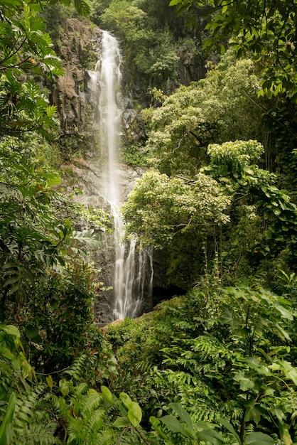 Wailua Falls en el camino a Hana en Maui