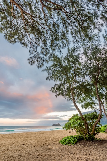 Waimanalo Beach, Rabbit Island und Ironwood Trees auf der Luv-Seite von Oahu, Hawaii