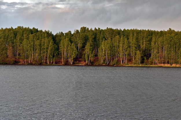 Wald am Flussufer bei Sonnenuntergang