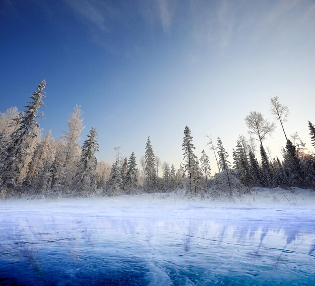 Wald am See, Winterlandschaft, transparente Eisnaturansicht