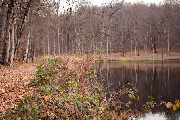 Wald am See