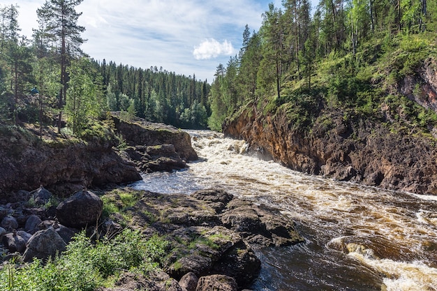 Wald auf den Felsen in der Schlucht des stürmischen Flusses, Finnland. Oulanka-Nationalpark