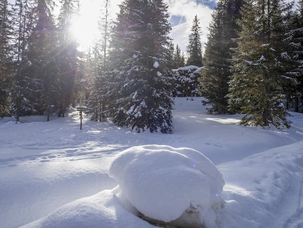 Wald dolomiten Schneepanorama Holzhütte Gadertal Armentarola