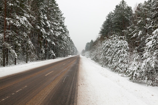Wald im Schnee im Winter des Jahres, Durch das Gebiet ist eine kleine Asphaltstraße für Autos