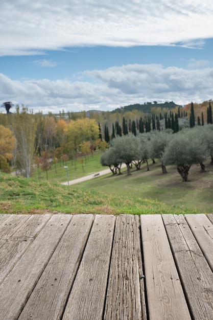 Foto wald im vordergrund mit waldlandschaft im hintergrund