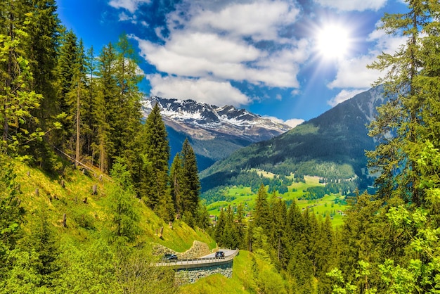 Wald in den Alpenbergen KlostersSerneus Davos Graubünden