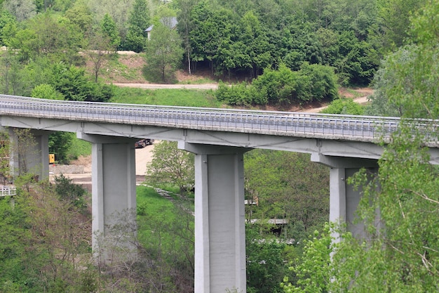 Wald in der Nähe des Siriu-Seeviadukts Giurca Buzau