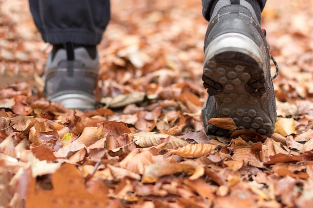 Wald lässt Mann zu Fuß. Herbstlaub