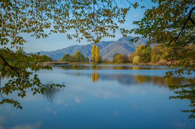 Wald neben Seelandschaft