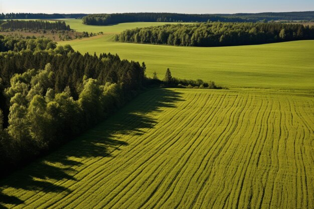 Wald und Ackerland