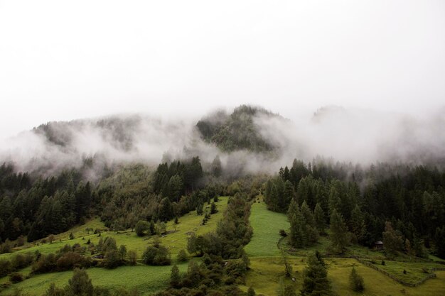 Wald und Berg im Naturpark Kaunergrat in der Nähe von Pitztal und Kaunertal und Inntal beim Schneien in Tirol Österreich