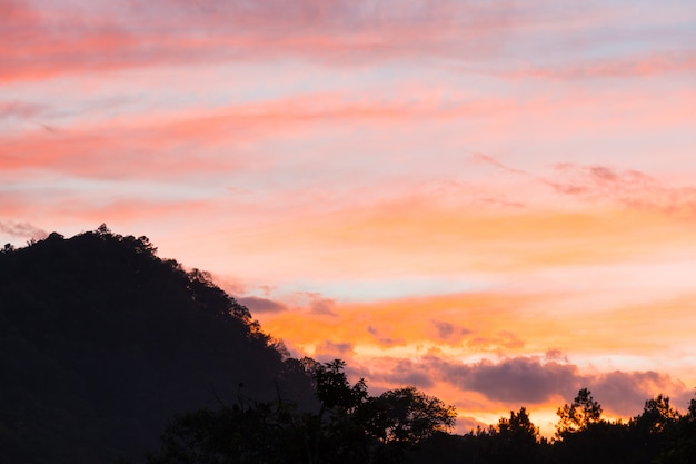 Foto wald und berg im sonnenuntergang.