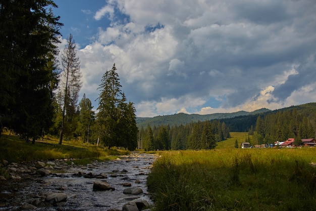 Wald- und Flusslandschaft in Osteuropa