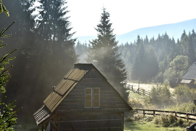 Wald und Hütte erhöhte sich vom frühen Morgen Herbstnebel