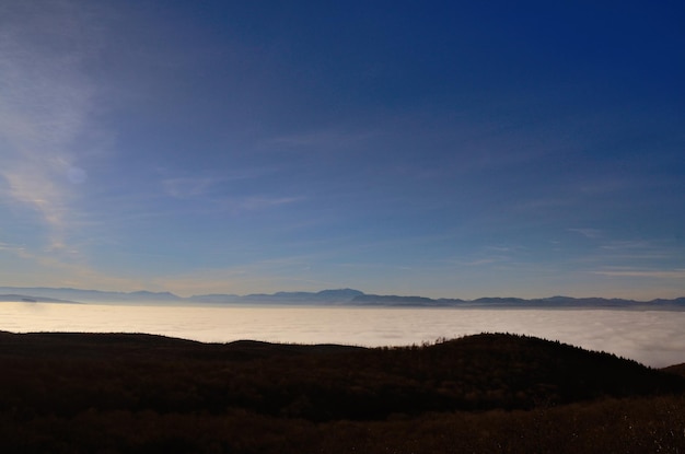 Wald und Nebel im Tal