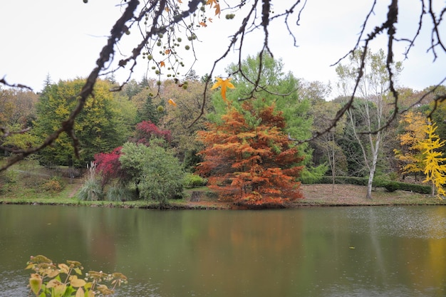 Wald und See im Herbst