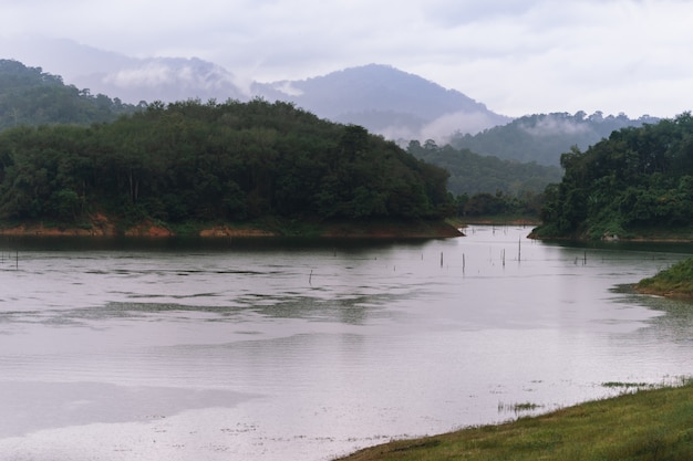 Foto wald- und wasserlandschaft am hala-bala-naturschutzgebiet